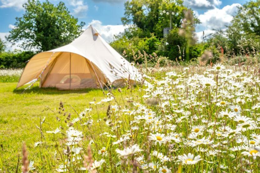 Vila Red Clover At Blanca'S Bell Tents Ringstead  Exteriér fotografie