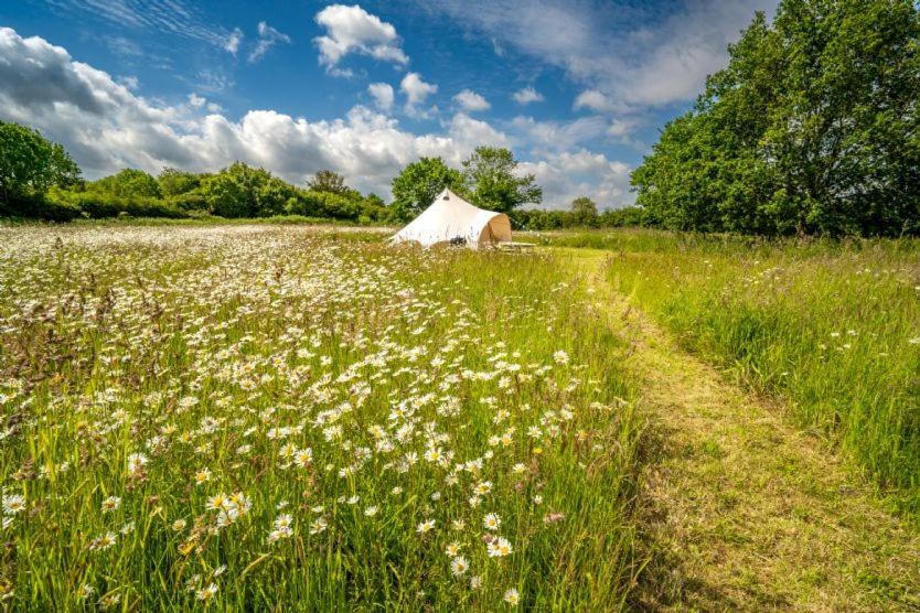 Vila Red Clover At Blanca'S Bell Tents Ringstead  Exteriér fotografie